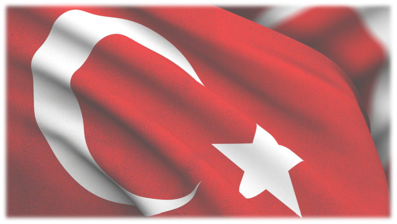 %100 Türk